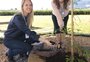Muda de sequoia lunar da Nasa é plantada em Porto Alegre
