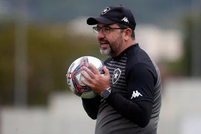 Enderson Moreira, Botafogo
