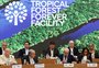 Lula lança fundo para preservação de florestas tropicais; aporte de outros países chega a US$ 5 bilhões
