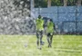 Com mudança no gol, Grêmio enfrenta o Botafogo no Brasileirão
