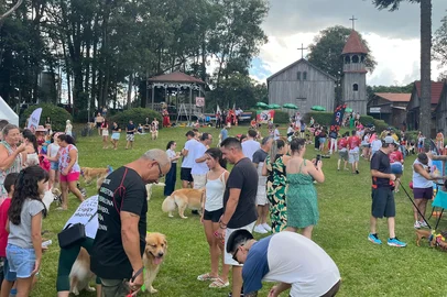 Ao som das clássicas marchinhas e muito calor, a 3ª edição do CarnavAU dos Goldens reuniu diversos cachorros e seus donos no Pavilhão da Festa da Uva, na tarde deste domingo (23). A atividade, além da diversão, também teve o objetivo de arrecadar itens escolares para crianças em vulnerabilidade social. O evento foi promovido pelo grupo Golden Retriever da Serra Gaúcha em parceria com o Instituto Amar ao Próximo. <!-- NICAID(15982290) -->