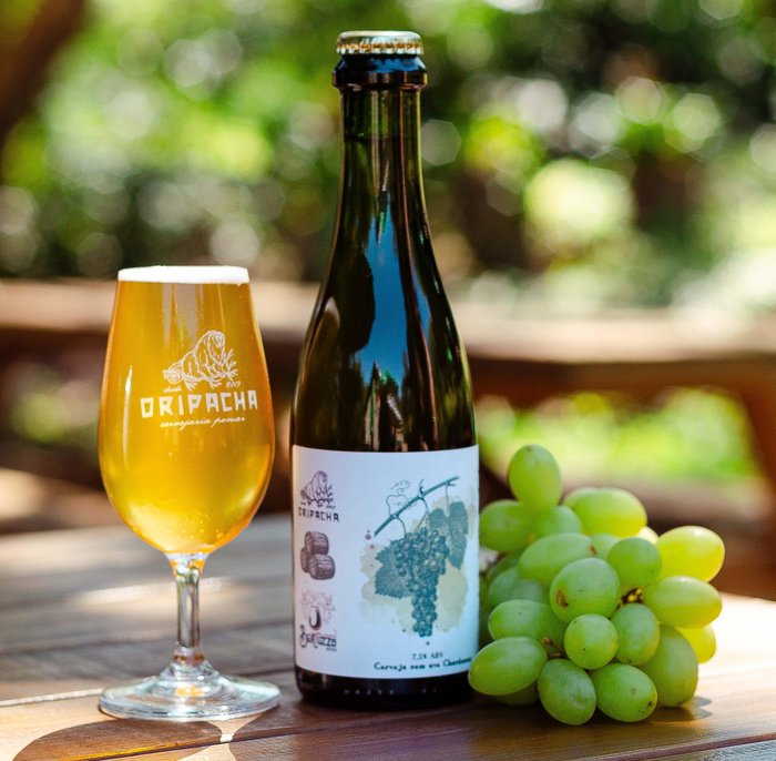 Festival Mulher Cervejeira / divulgação