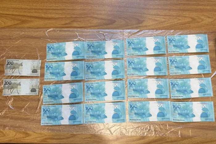 Polícia Civil / Divulgação