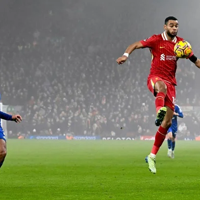 Gakpo, futebol, Liverpool