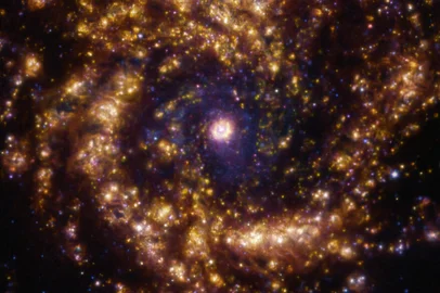 O telescópio Very Large Telescope (VLT) registrou imagem em alta qualidade e precisão da galáxia NGC 4303, também chamada de Messier 61.A galáxia foi formada há 1 bilhão de anos a partir da fusão de outras duas.<!-- NICAID(15177802) -->
