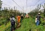 No ano, RS é o segundo Estado que mais criou vagas com carteira assinada na agropecuária