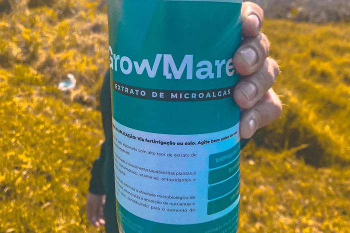 Arquivo pessoal / Divulgação