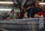 Expositores celebram resultado da maior Mercopar da história, em Caxias