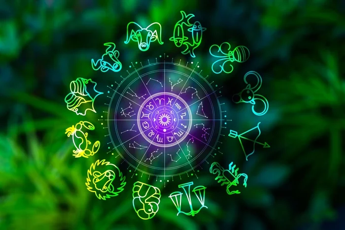 Cinemanikor / Shutterstock | Portal EdiCase Cinemanikor / Shutterstock | Portal EdiCase