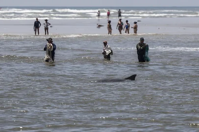 Duda Fortes / Agencia RBS IMBÉ, RS, BRASIL, 17/01/2026: Calor e céu com nuvens atraem turistas e pescadores para a Barra de Imbé. O local é famoso pela presença de botos, que auxiliam os pescadores na pesca de cardumes. Fotos: Duda Fortes/Agencia RBS<!-- NICAID(16205952) -->