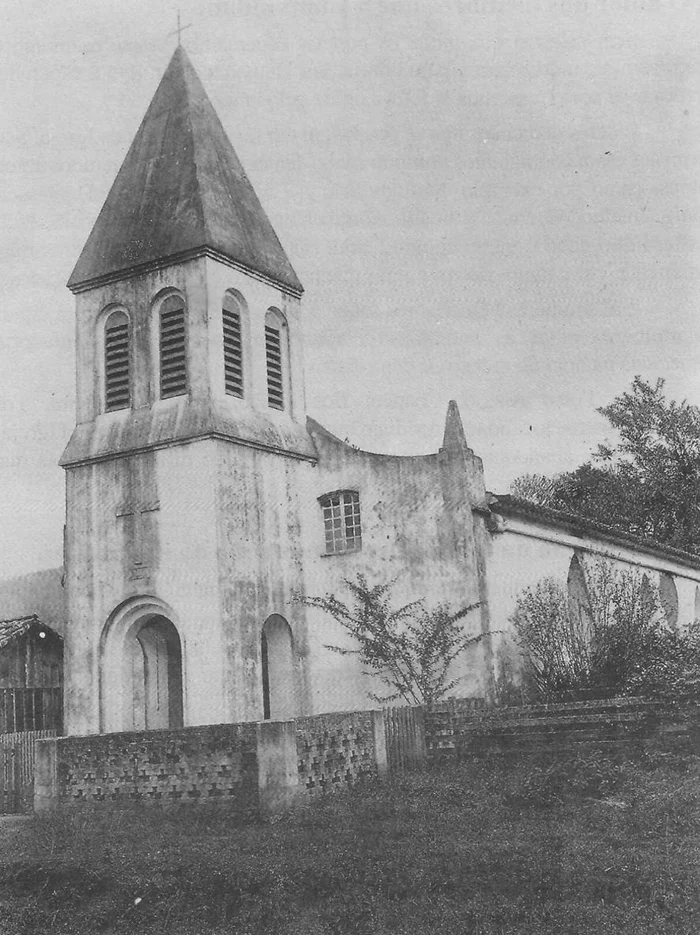 Reprodução / Elio E. Müller