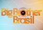 Como será o "BBB 26"? O que se sabe sobre a nova edição do reality