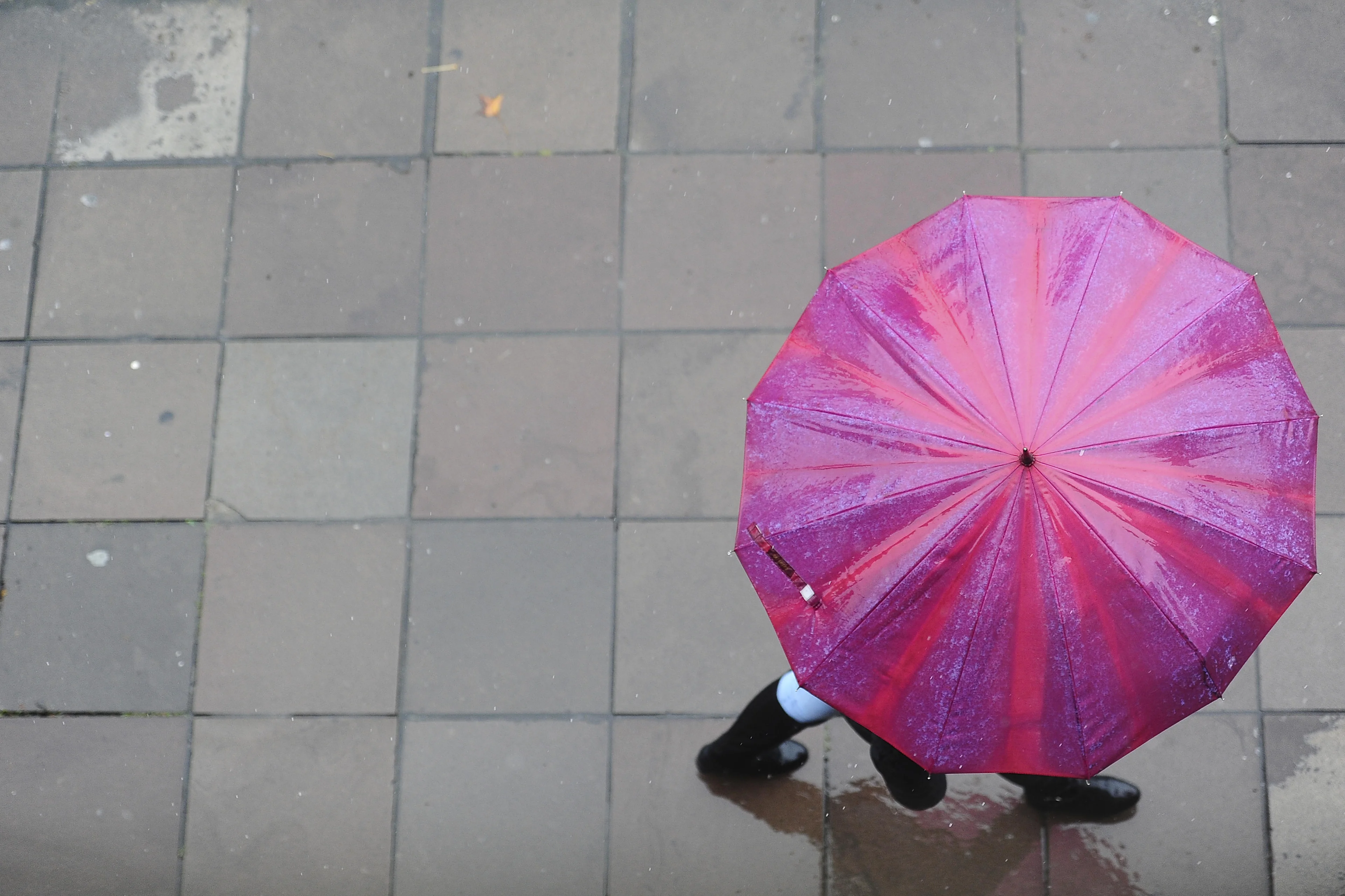 Bruno Todeschini/Agencia RBS