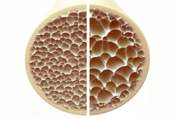 crevis / stock.adobe.com