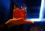 Drink italiano: descubra cinco bares para tomar um bom negroni em Porto Alegre