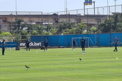 treino do grêmio