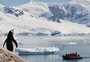 Antártica registrou temperatura 30°C acima do normal nesta semana