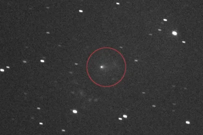 nasa<!-- NICAID(16171285) -->