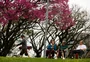 Primavera começa com frio e chuva em parte do Estado; tempo firme retorna na terça-feira