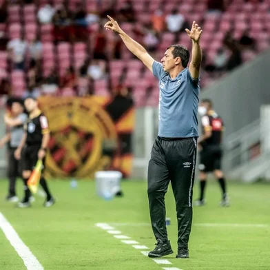 Fábio Carille, Santos
