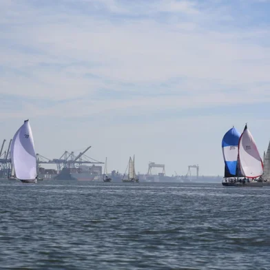 Regata RG<!-- NICAID(16162824) -->