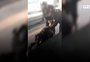 Artista de rua denuncia agressão durante abordagem de seguranças da Trensurb; veja o vídeo