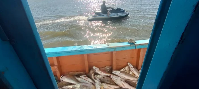 Divulgação / Brigada Militar