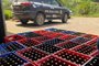 Dois homens são presos em operação contra cerveja falsificada<!-- NICAID(15607970) -->