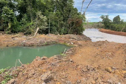 Polícia flagra mais de 70 mil metros quadrados de desmatamento no norte do RS<!-- NICAID(16241883) -->