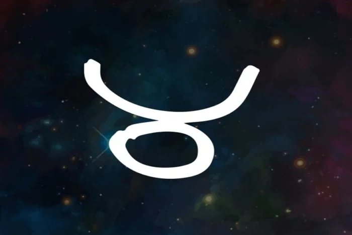 Cro Magnon / Shutterstock | Portal EdiCase