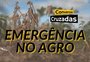 Conversas Cruzadas: estiagem ameaça o agronegócio no RS? Como enfrentar a crise?