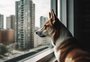 Seu pet começou a se comportar mal? Veja 12 indícios de que o animal está descontente