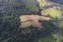 Polícia flagra mais de 22 mil metros quadrados de desmatamento em Aratiba<!-- NICAID(15669557) -->