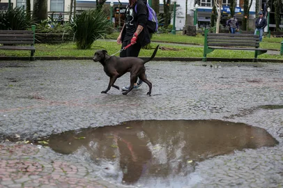 CAXIAS DO SUL, RS, BRASIL, 21/06/2024. Clima em Caxias Do Sul. (Neimar De Cesero/Agência RBS)Indexador: Neimar De Cesero<!-- NICAID(15794596) -->