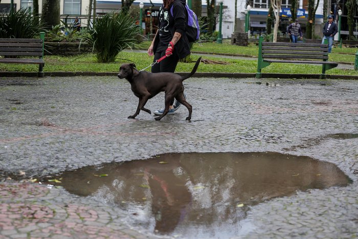 Neimar De Cesero / Agencia RBS