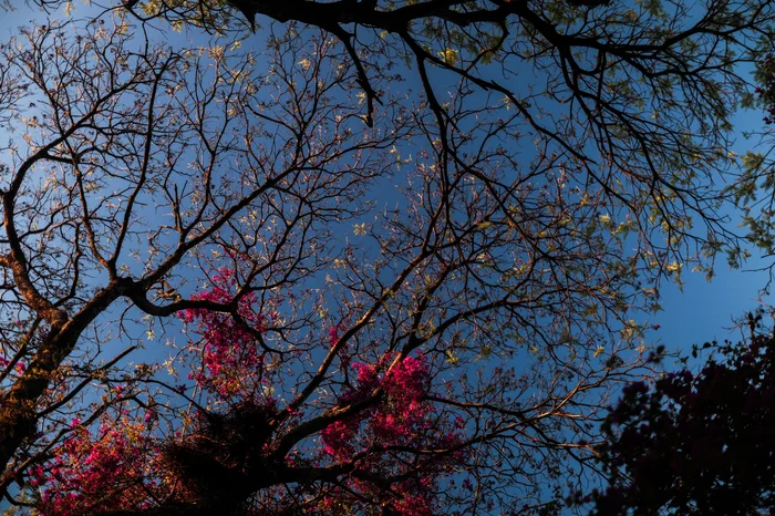 Renan Mattos / Agencia RBS Renan Mattos / Agencia RBS