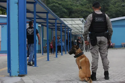 Uma professora de inglês da Escola Municipal de Ensino Fundamental João de Zorzi, no bairro Fátima Baixo, de Caxias do Sul, foi esfaqueada por alunos no início da tarde desta terça-feira (1º). Ela estaria ministrando a aula, uma das primeiras da tarde, quando foi atingida.<!-- NICAID(16007872) -->