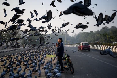 A man offers prayers along a road, as pigeons fly past on a smoggy morning in New Delhi on December 3, 2025. (Photo by Manan VATSYAYANA / AFP)Editoria: LIFLocal: New DelhiIndexador: MANAN VATSYAYANASecao: animalFonte: AFPFotógrafo: STF<!-- NICAID(16181422) -->