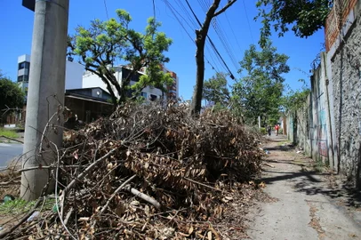 PORTO ALEGRE, RS, BRASIL, 14/11/2024- CEEE Equatorial faz podas preventivas e deixa acumulo de arvores nas ruas e calçadas. Na foto, Rua Dona Augusta, Menino Deus. Foto: Ronaldo Bernardi / Agencia RBS<!-- NICAID(15913831) -->