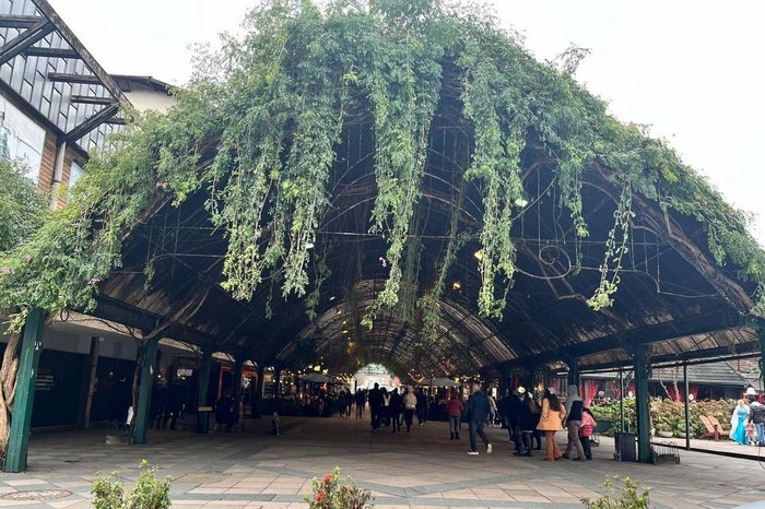 Marta Sfredo / Agência RBS