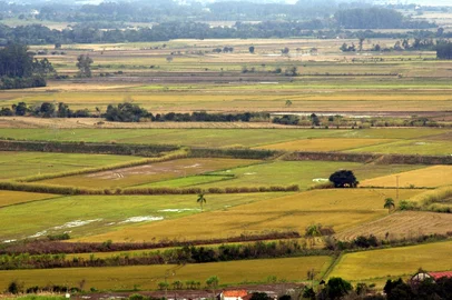 #Máquina: D1-5021779Vista geral das lavouras de arroz de Dona Francisca<!-- NICAID(895055) -->