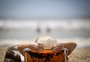 Cinco dicas para ajudar a descansar o corpo e a mente durante as férias