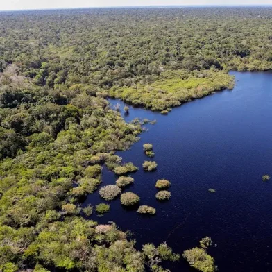 amazônia<!-- NICAID(16086185) -->