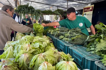 PORTO ALEGE, RS, BRASIL, 25-07-2026: Vasco Machado é agricultor e produz alimentos orgânicos que são vendidos na Feira Orgânica da Redenção, aos sábados. (Foto: André Ávila/Grupo RBS)<!-- NICAID(16333934) -->