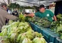 Da lavoura à banca: a rotina do produtor que há 28 anos leva alimentos orgânicos para a feira da Redenção