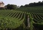 Plano de gestão que busca o desenvolvimento sustentável do Vale dos Vinhedos deve ser concluído em setembro