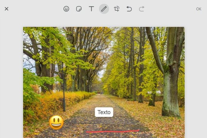 WhatsApp / Reprodução WhatsApp / Reprodução