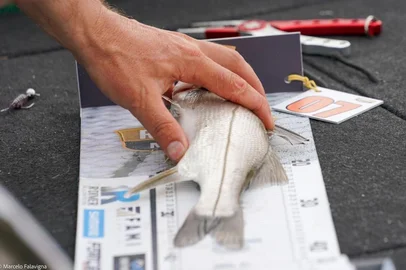 O Rio Mampituba, no Litoral Norte Gaúcho. Robalo Master Brasil - Campeonato de Pesca Esportiva<!-- NICAID(15828010) -->