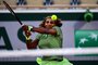 Serena Willams, Roland Garros