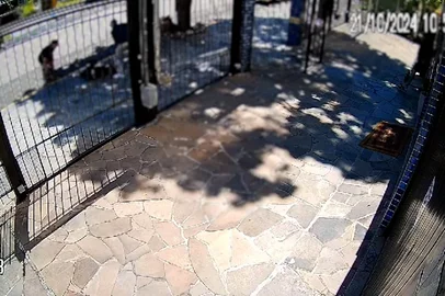 mulher é atacada por cachorro no bairro menino deus, em porto alegre